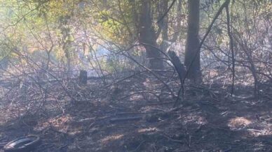 zonguldakta ormanlik alanda cikan yangin kisa surede sonduruldu tiTd6eZs