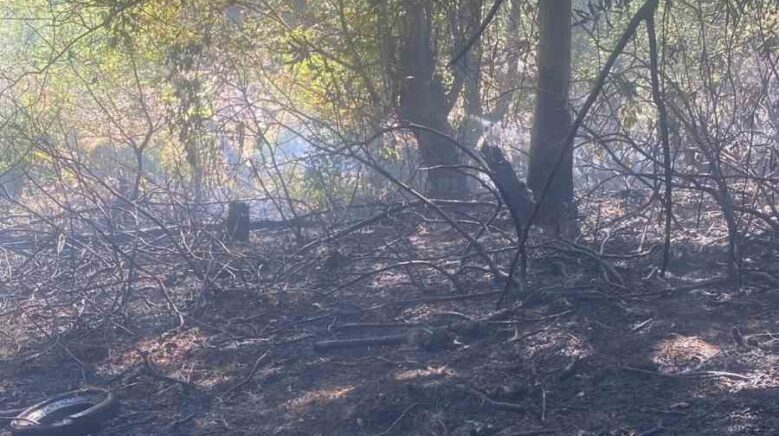 zonguldakta ormanlik alanda cikan yangin kisa surede sonduruldu tiTd6eZs