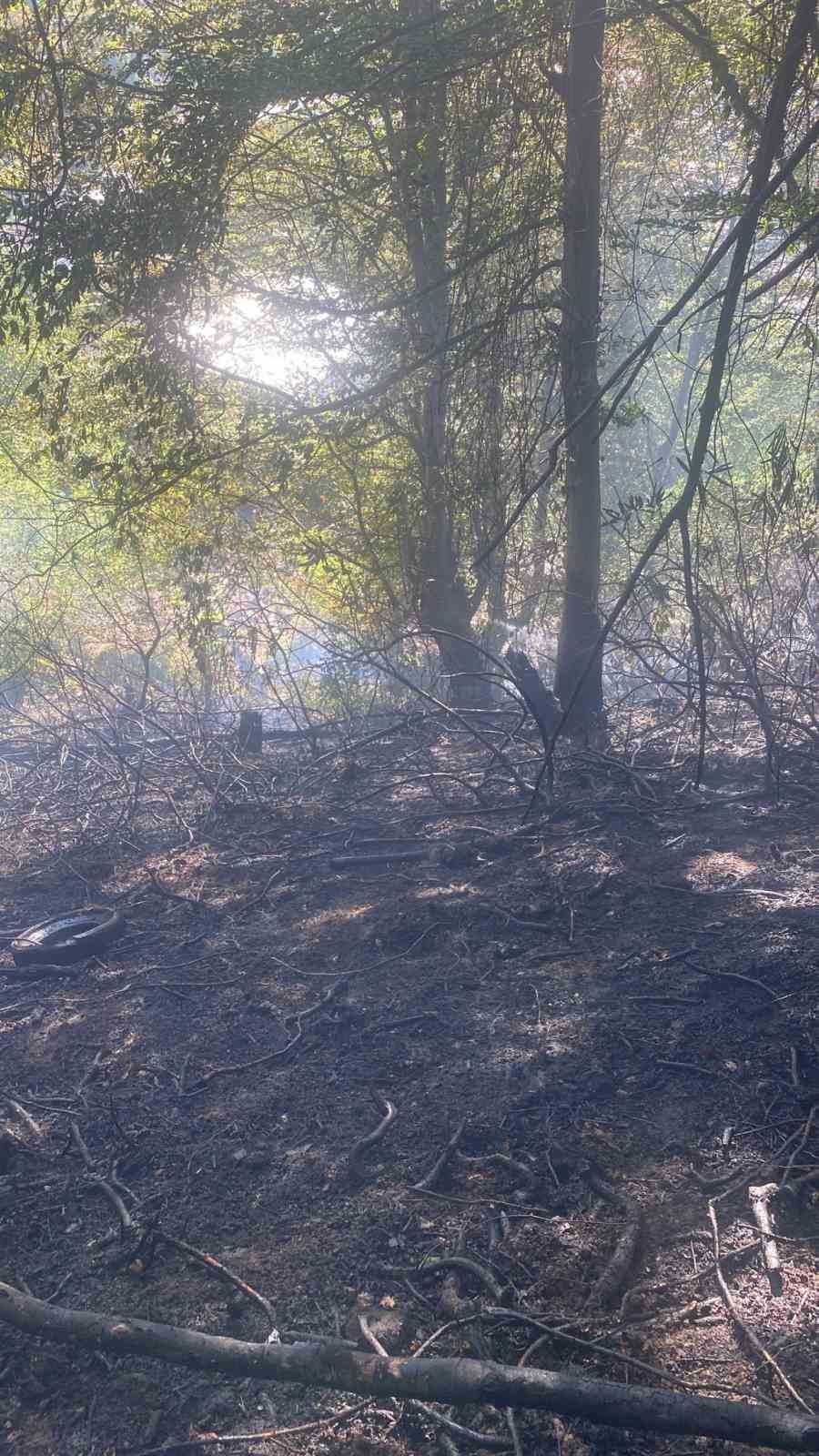 zonguldakta ormanlik alanda cikan yangin kisa surede sonduruldu tiTd6eZs