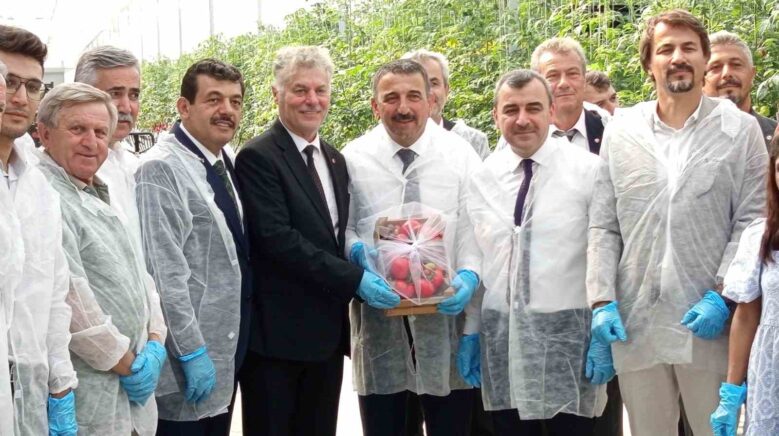 zonguldakta sera osbde ilk domates hasati gerceklestirildi Oc8tTNUI