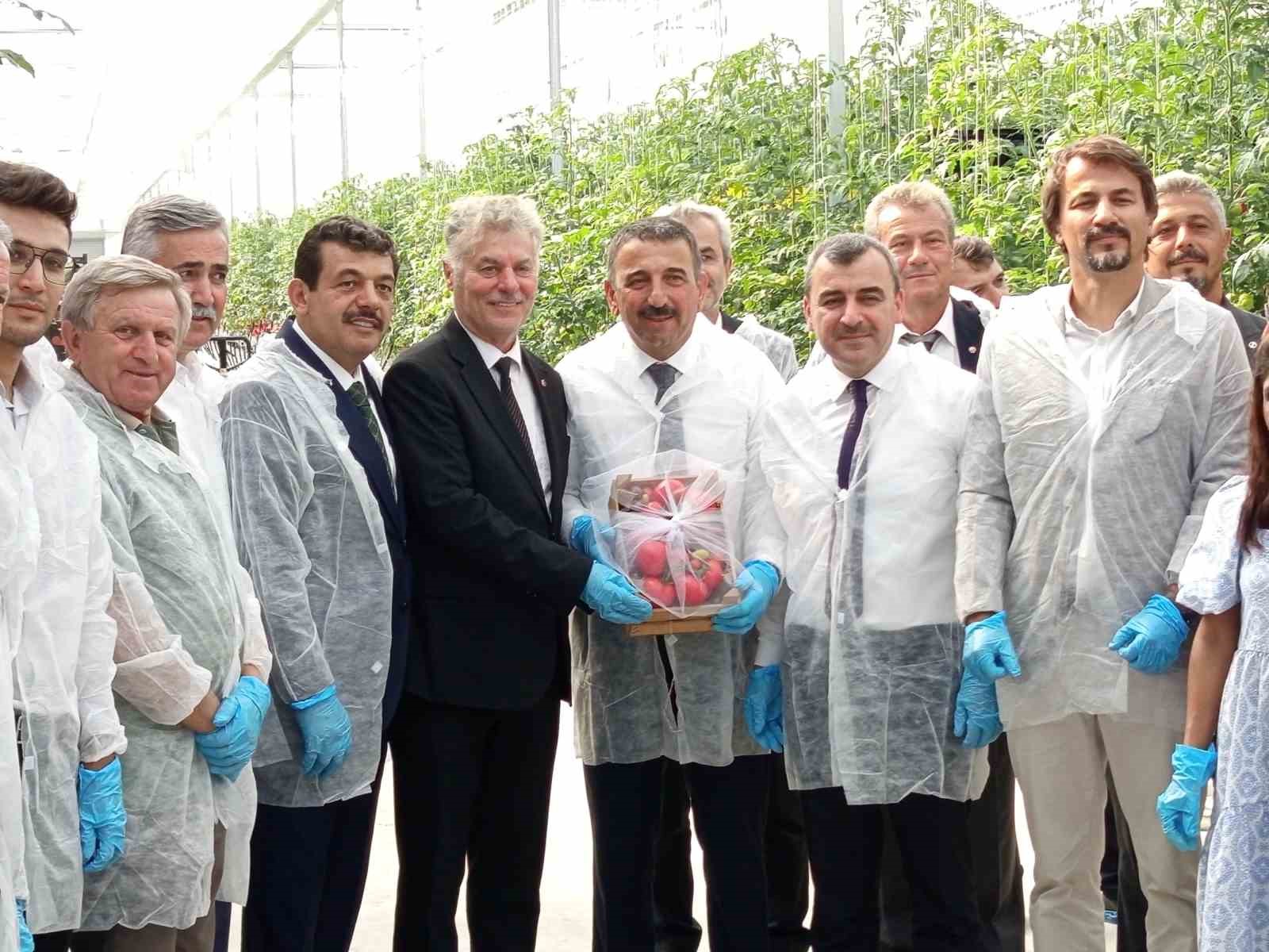 zonguldakta sera osbde ilk domates hasati gerceklestirildi Oc8tTNUI