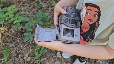 5 yasindaki bensu fotokapanla yaban hayatini goruntuluyor Jruerbmt