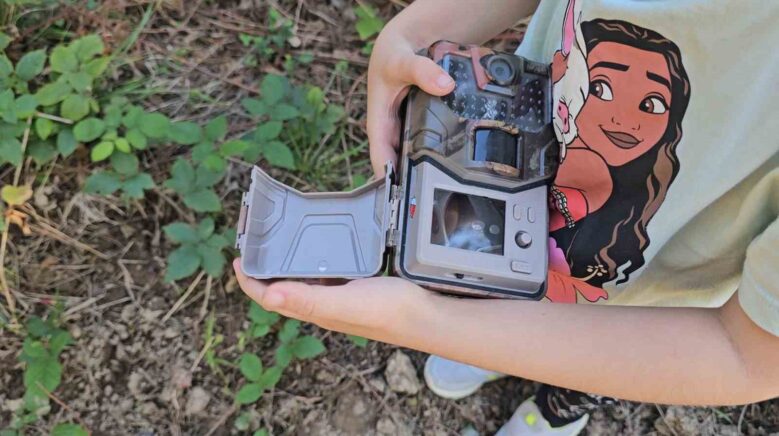 5 yasindaki bensu fotokapanla yaban hayatini goruntuluyor Jruerbmt