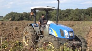 bafra ovasinda 100 bin dekarlik alanda kislik sebze ekimi basladi nlnPEeeN