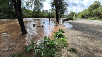 bartin irmagi tasmaya basladi wNp95YNR