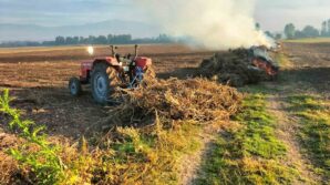 boluda aniz yakana hapis ve para cezasi var 7rKraFf7