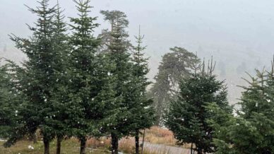 boluda mevsimin ilk kari yagdi LFD3UGIm