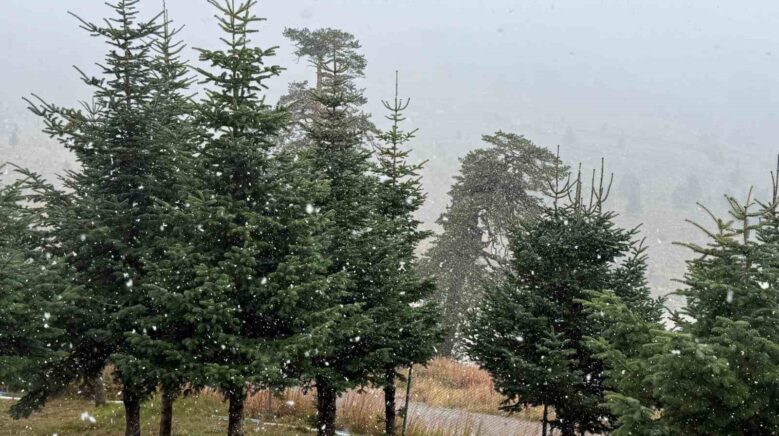 boluda mevsimin ilk kari yagdi UBqym6RO