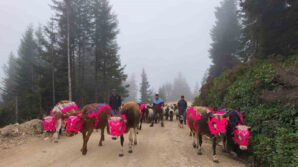 dogu karadenizde yaylalardan donusler hizlandi rDqVMd8i