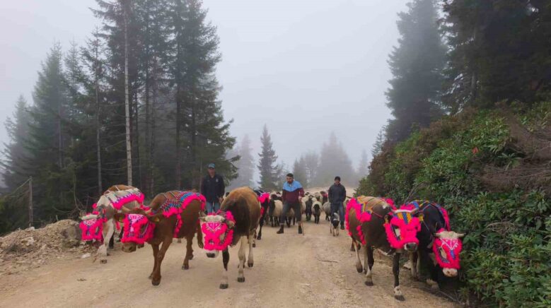 dogu karadenizde yaylalardan donusler hizlandi rDqVMd8i