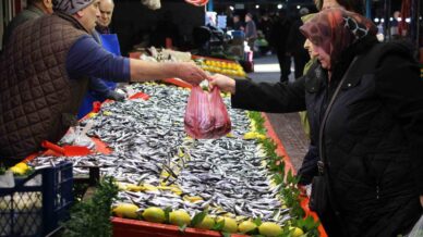 fiyati dusen hamsiye talep artti son 10 yildir boyle guzel hamsi gelmedi KqdpLMRg