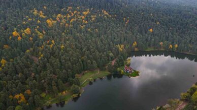 golcuk tabiat parkinda sonbahar guzelligi mest etti DOjrtVgd