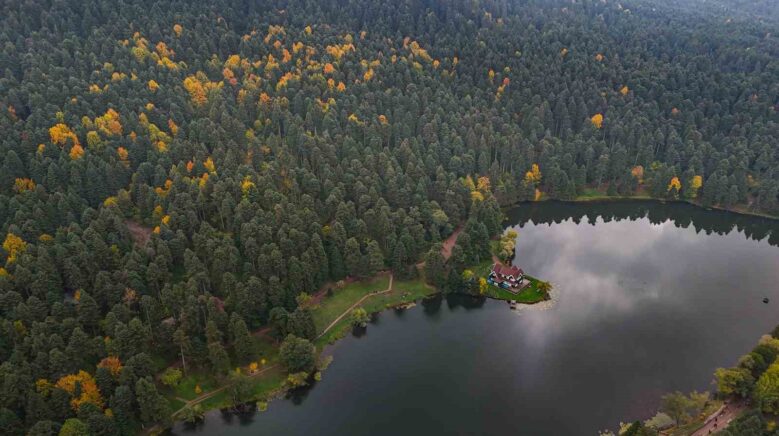 golcuk tabiat parkinda sonbahar guzelligi mest etti DOjrtVgd