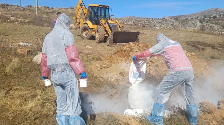 gumushanede sarbon hastaligi nedeniyle 6 koye giris cikis yasaklandi lGSvbOqz