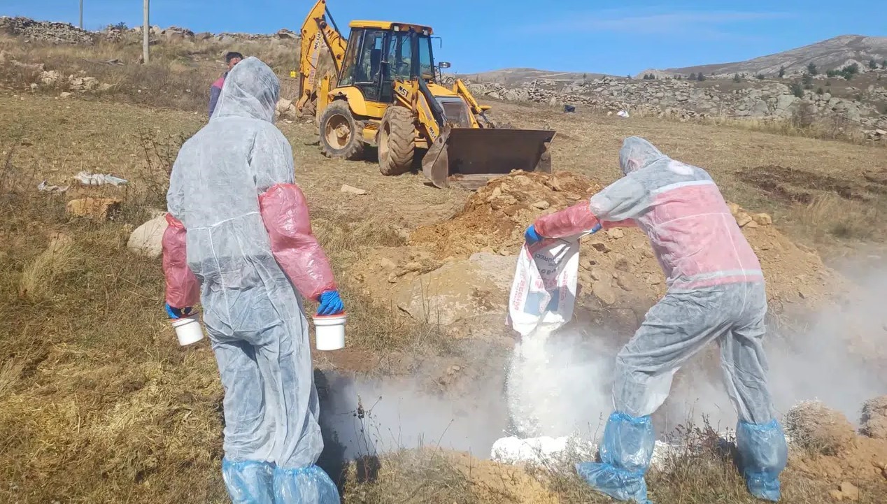 gumushanede sarbon hastaligi nedeniyle 6 koye giris cikis yasaklandi lGSvbOqz