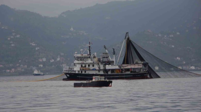 hamside tehlike canlari caliyor vXggaFJJ