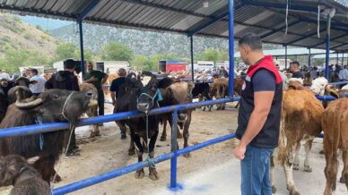 hayvan pazari sap hastaligi nedeniyle kapatildi W9NB3VJc