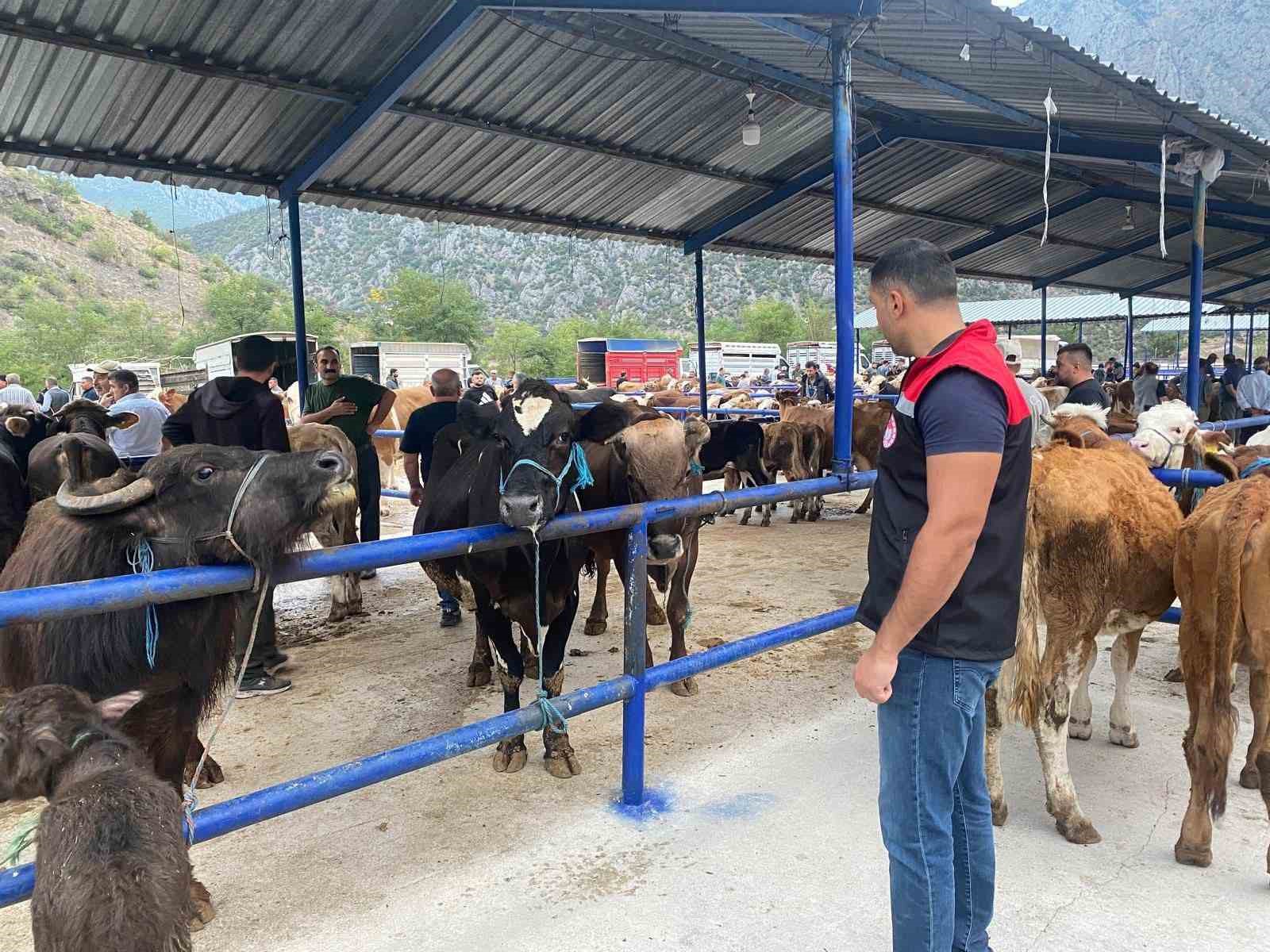 hayvan pazari sap hastaligi nedeniyle kapatildi W9NB3VJc