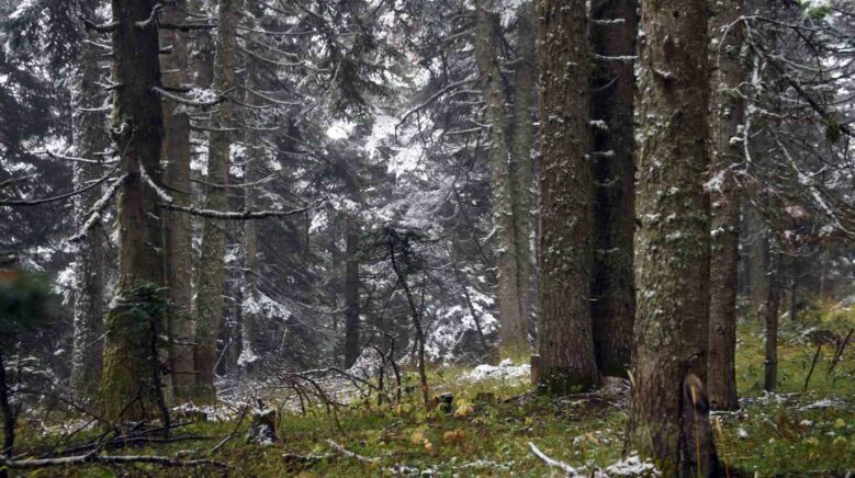 ilgaz daginda kar yagisi etkili oldu ortaya mest eden goruntuler cikti RBkxiWLD