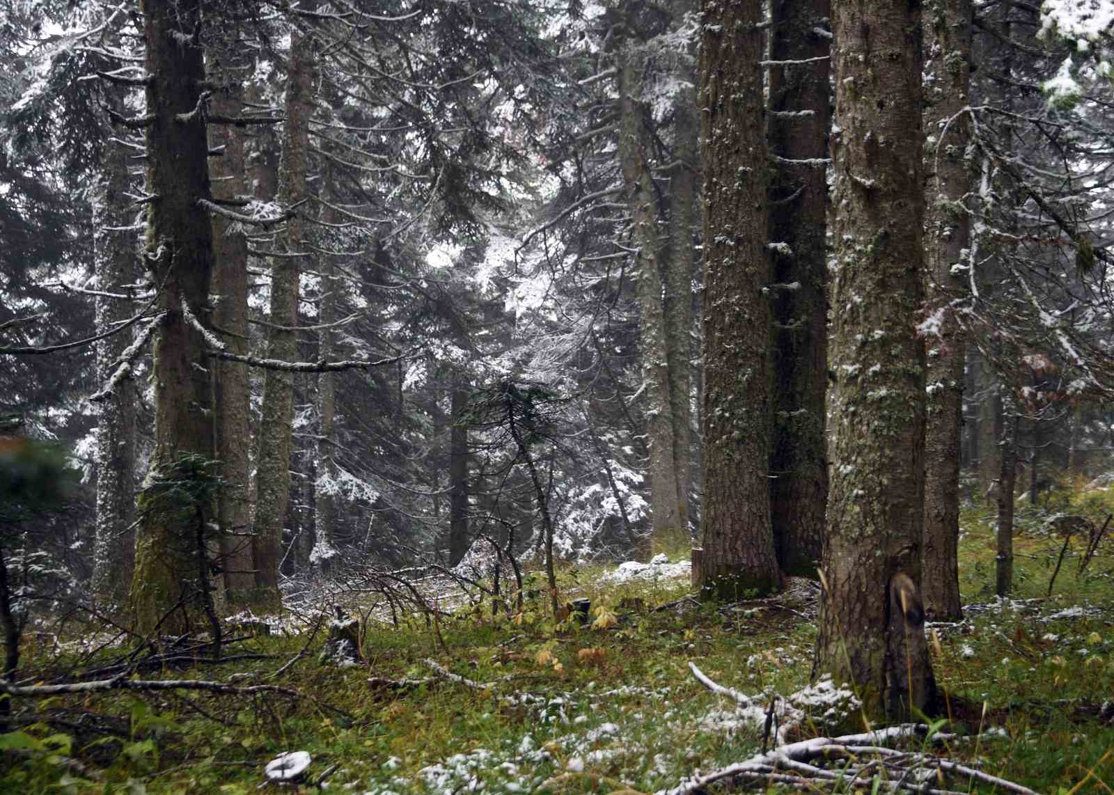 ilgaz daginda kar yagisi etkili oldu ortaya mest eden goruntuler cikti
