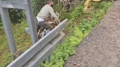 inegi vincle dustugu yamactan kurtardilar aQI4QJx7