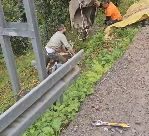 inegi vincle dustugu yamactan kurtardilar aQI4QJx7