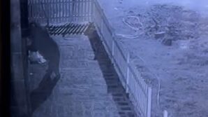 kapiyi hirsiz zorluyor sandi gercek guvenlik kamerasi ile ortaya cikti PqQxW4ym