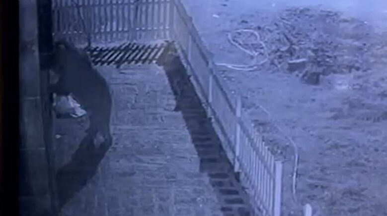 kapiyi hirsiz zorluyor sandi gercek guvenlik kamerasi ile ortaya cikti PqQxW4ym