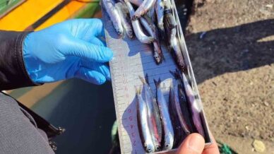 karadeniz ereglide balikcilik denetimlerinde 153 tekneye e seyir onayi verildi 3j66vD7a