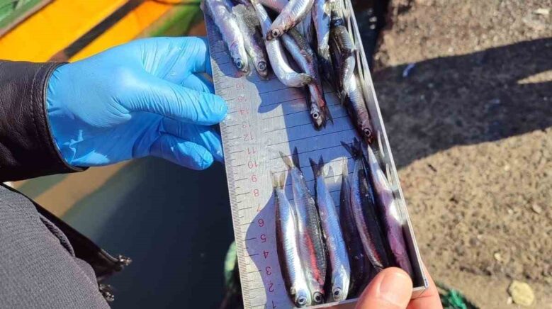 karadeniz ereglide balikcilik denetimlerinde 153 tekneye e seyir onayi verildi 3j66vD7a