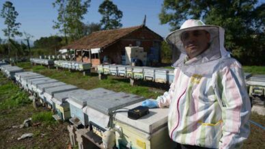 komiser aricidan bal verimini artiran yerli cihaz DnVTn5bn