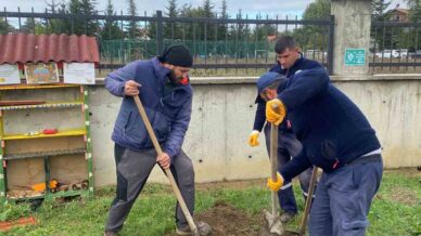 orman yanginlari sonrasi yola cikti 71 fidanini boluda dikti dVSO4guf