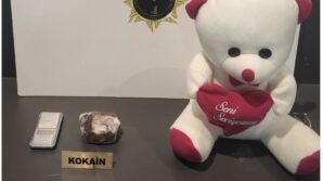 oyuncak ayi icine gizlenen kokain ele gecirildi 1 gozalti kCHumD1Y