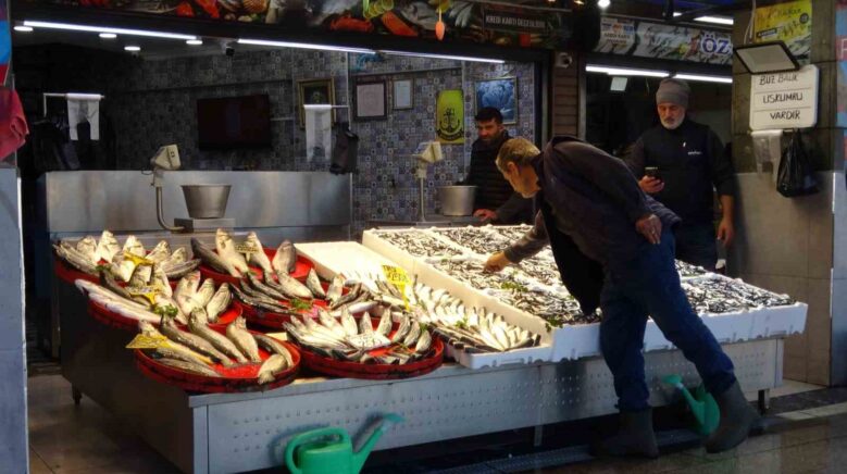 palamut sezonu baslamadan bitti umutlar seneye kaldi E1JKABVr