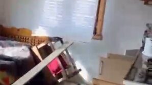 rize yaylalarinda ayi panigi 20 ev talan edildi LMYnBnKJ