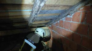 safranboluda evin catisinda yaban arisi panigi SFgUWd5I