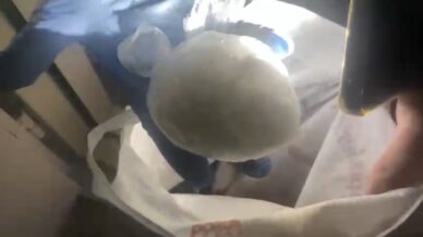 samsunda 1838 gram uyusturucu ele gecirildi THVphxtf