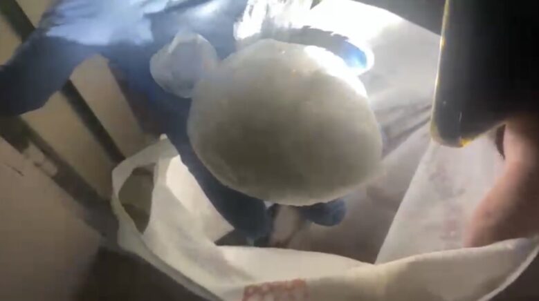 samsunda 1838 gram uyusturucu ele gecirildi THVphxtf