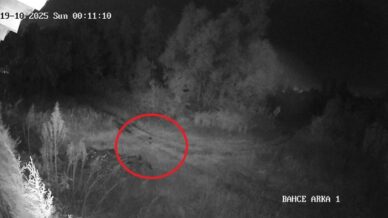 samsunda 2 haftadir kayip olan genc ilcede panige yol acti vatandaslar tedirgin FcZjhVD2