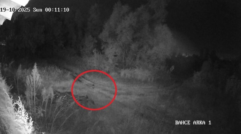 samsunda 2 haftadir kayip olan genc ilcede panige yol acti vatandaslar tedirgin FcZjhVD2