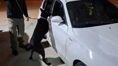 samsunda narkotik kopegi cakir yakit deposuna gizlenen metamfetamini buldu BWQlcq1T