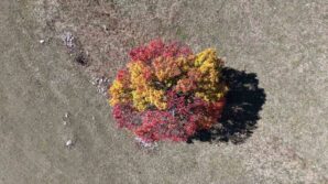 sonbahar karadenizde ilk bu koye ugruyor NzNfN4Ue