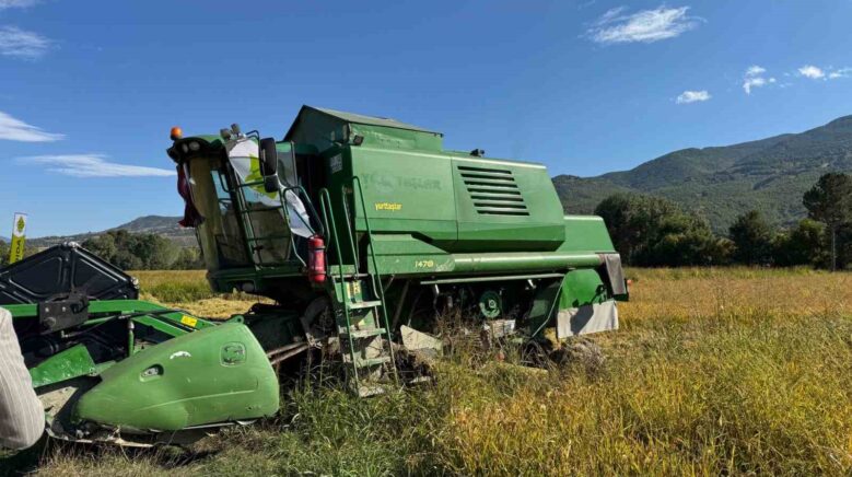 take projesi kapsaminda ekilen celtigin hasadina baslandi MrUusJ72