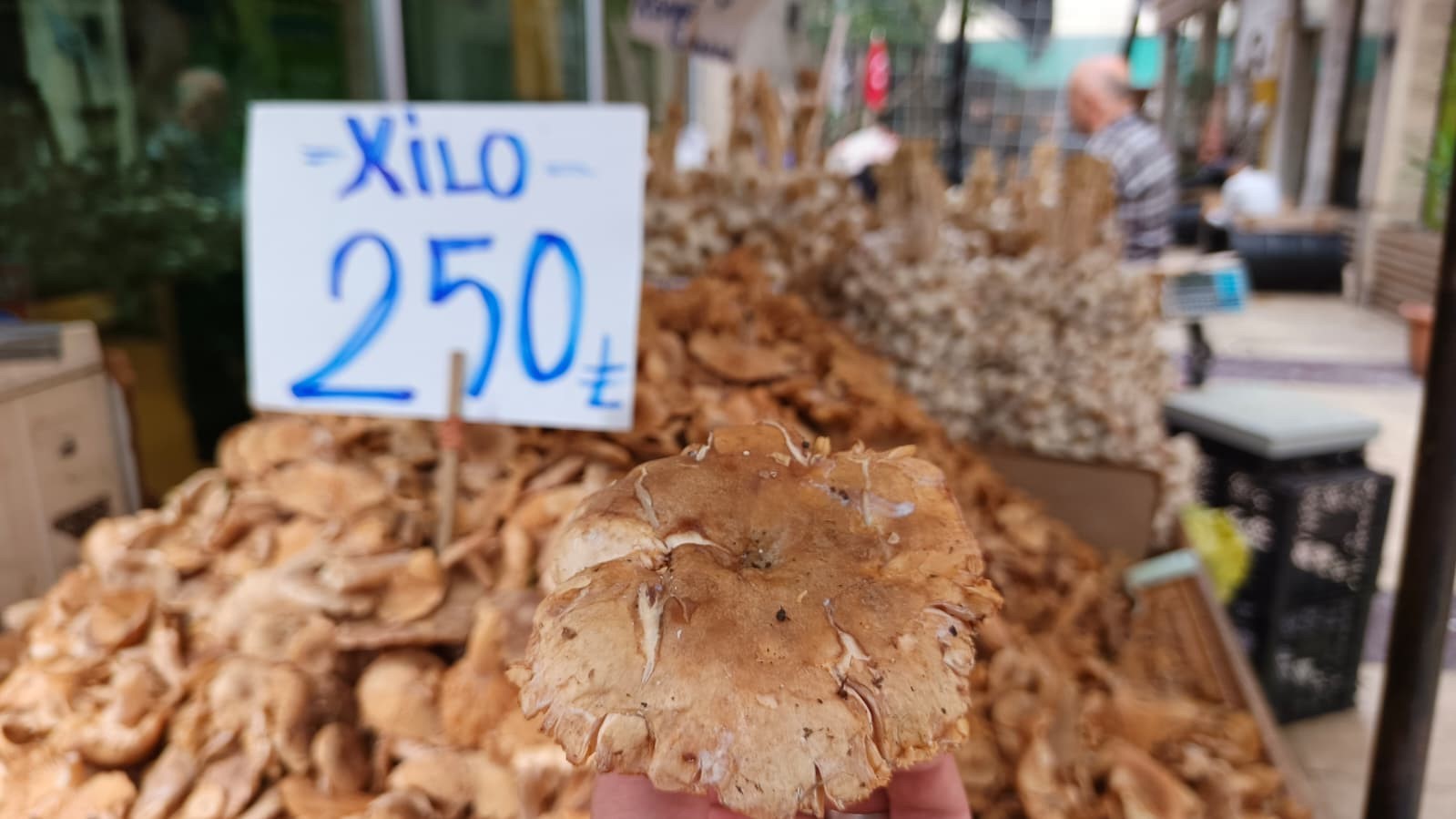 tezgahlarda tirmit bollugu fiyati dustu TsCUQGkX