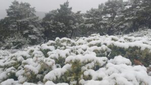 tokat yukseklerinde kar kent merkezinde yagmur etkili oldu jGmhm2kC
