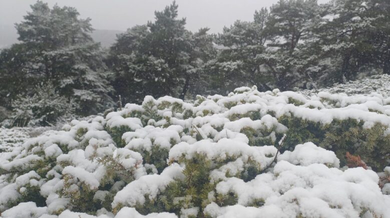 tokat yukseklerinde kar kent merkezinde yagmur etkili oldu jGmhm2kC