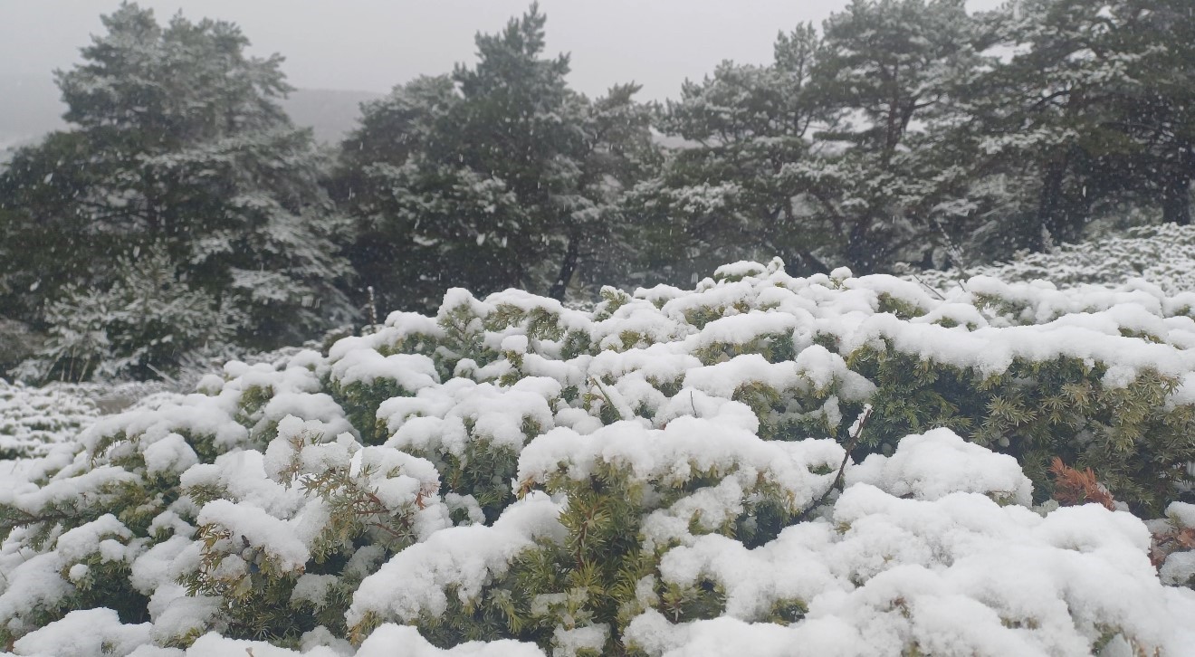 tokat yukseklerinde kar kent merkezinde yagmur etkili oldu jGmhm2kC