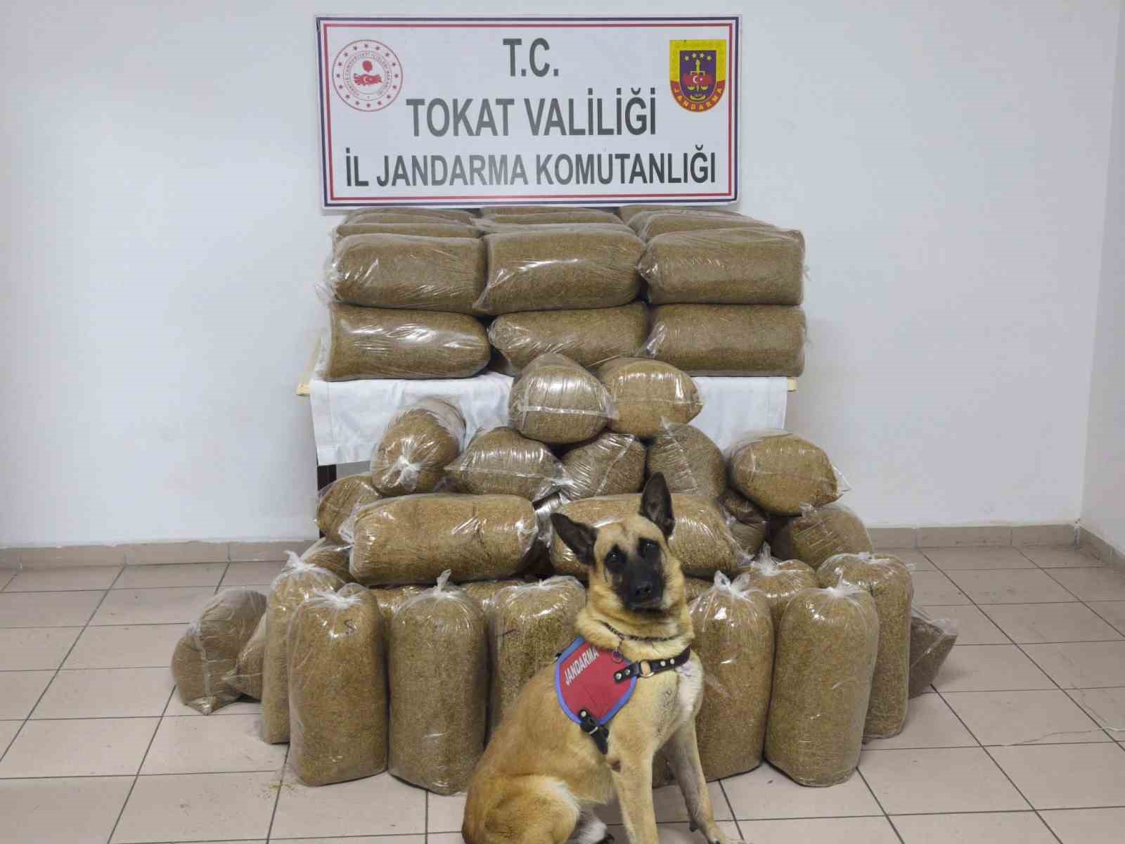 tokatta 340 kilo kacak tutun ele gecirildi V7NPcssX