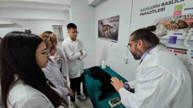 turkiyede bir ilk meslek yuksekokulunda veteriner saglik egitimi simulatorlerle veriliyor Acuz1aDY