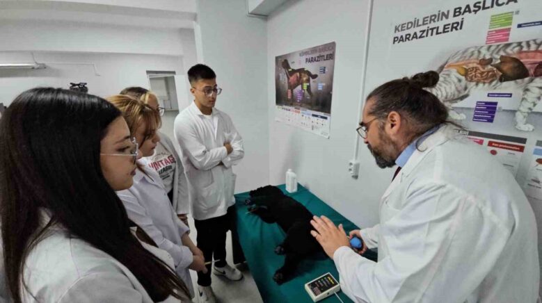 turkiyede bir ilk meslek yuksekokulunda veteriner saglik egitimi simulatorlerle veriliyor Acuz1aDY